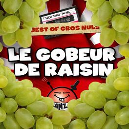 Album picture of Radio Banzaï: Best of gros nuls: Le gobeur de raisin