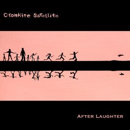 Album cover of After Laughter