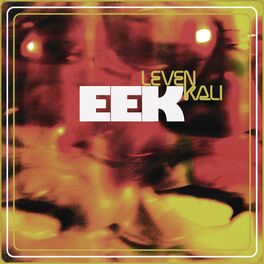 Album cover of EEK