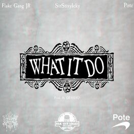 Album cover of What It Do (feat. Flake Gang JR & Pote)