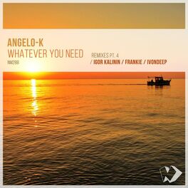 Album cover of Whatever You Need, Pt. 4 (Remixes)