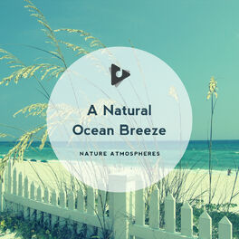 Album cover of A Natural Ocean Breeze