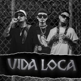 Album cover of Vida Loca