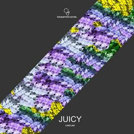 Album cover of JUICY
