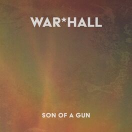 Album cover of Son of a Gun