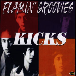 Album cover of Kicks