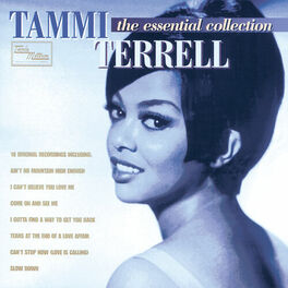 Album cover of The Essential Collection