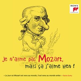 Album cover of Je n'aime pas Mozart, mais ça j'aime bien !