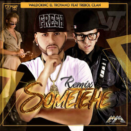 Album cover of Sometehe (Remix)