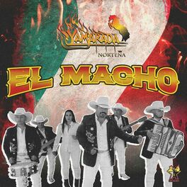 Album cover of El Macho