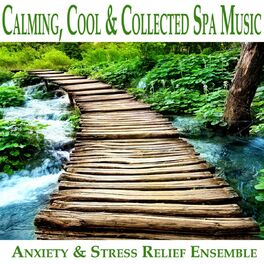 Album cover of Calming, Cool & Collected Spa Music