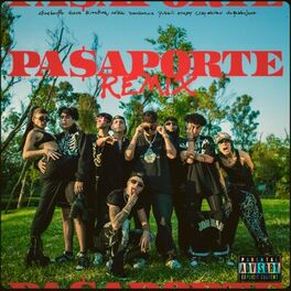 Album cover of Pasaporte (Remix)