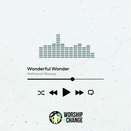 Album cover of Wonderful Wonder