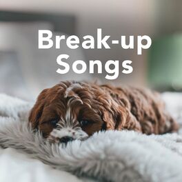 Album cover of Break Up Songs