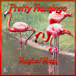 Album cover of Pretty Flamingos