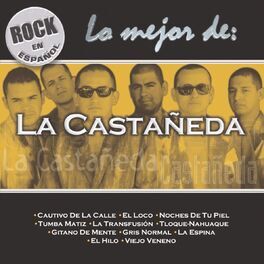 Album cover of Rock En Espanol - Lo Mejor De La Castañeda
