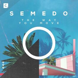 Album cover of The Way You Move
