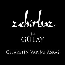 Album cover of Cesaretin Var mı Aşka?