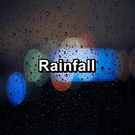 Album cover of Rainfall