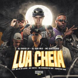 Album cover of Lua Cheia