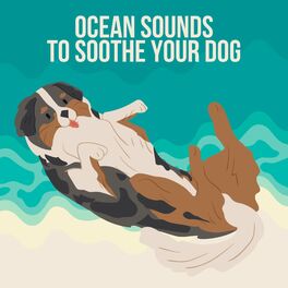 Album cover of Ocean Sounds to Soothe Your Dog