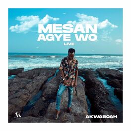 Album cover of Mesan Agye Wo (Live)