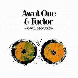 Album cover of Owl Hours