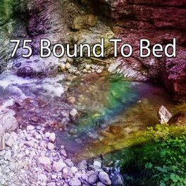 Album cover of 75 Bound to Bed
