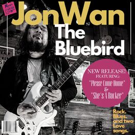 Album picture of The Bluebird