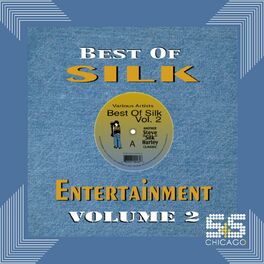 Album cover of Best Of Silk Entertainment Vol.2