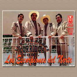 Los Escorpiones Del Norte: albums, songs, playlists | Listen on Deezer