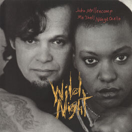 Album cover of Wild Night