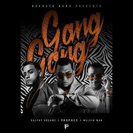 Album cover of Gang Gang (feat. Ralphy Dreamz & Melvin War)