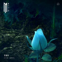 Album cover of Try (feat. RØRY)