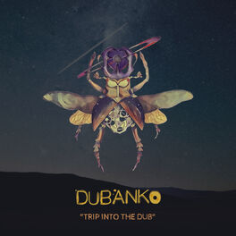 Album cover of Trip into the Dub