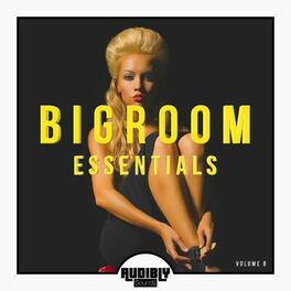 Album cover of Bigroom Essentials, Vol. 8