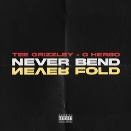 Album picture of Never Bend Never Fold