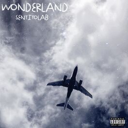 Album cover of WonderLand