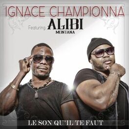 Album cover of Le son qu'il te faut