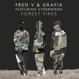 Album cover of Forest Fires (feat. Etherwood)