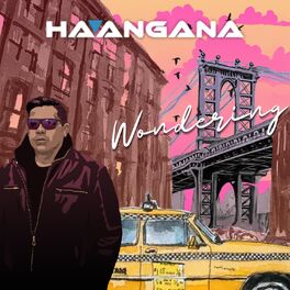 Album cover of Wondering