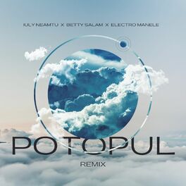 Album cover of Potopul (Remix)