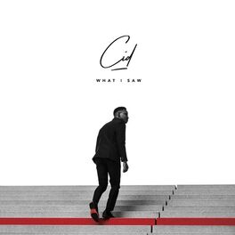 Album cover of What I Saw