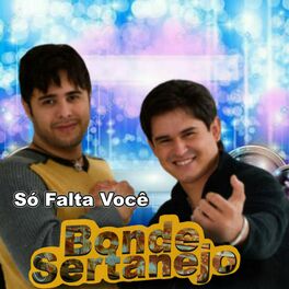 Album cover of Só Falta Você