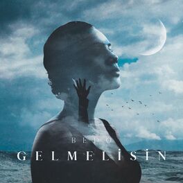 Album cover of Gelmelisin