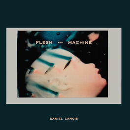 Album cover of Flesh And Machine