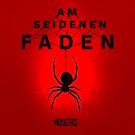 Album cover of Am seidenen Faden (Bonus Disc)