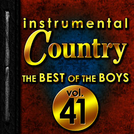 Album cover of Instrumental Country: The Best of the Boys, Vol. 41