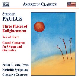 Album cover of Paulus: Three Places of Enlightenment, Veil of Tears & Grand Concerto