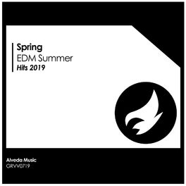 Album cover of Spring EDM Summer Hits 2019